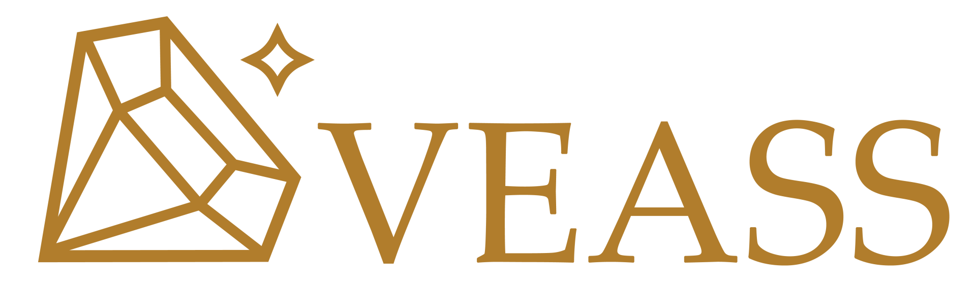Website title